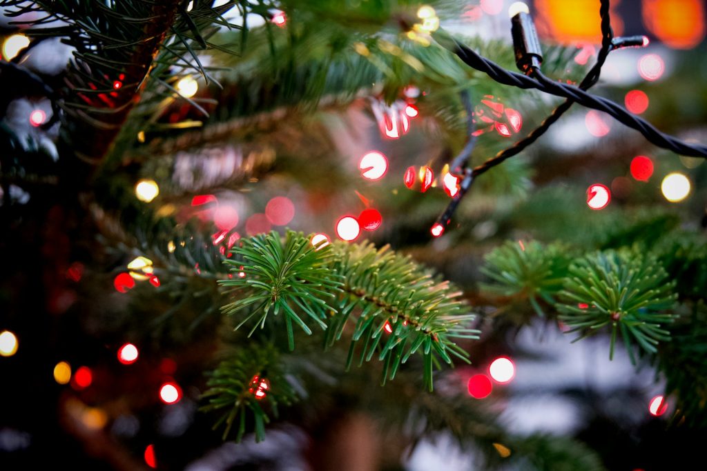 a close up of a christmas tree with lights in the background