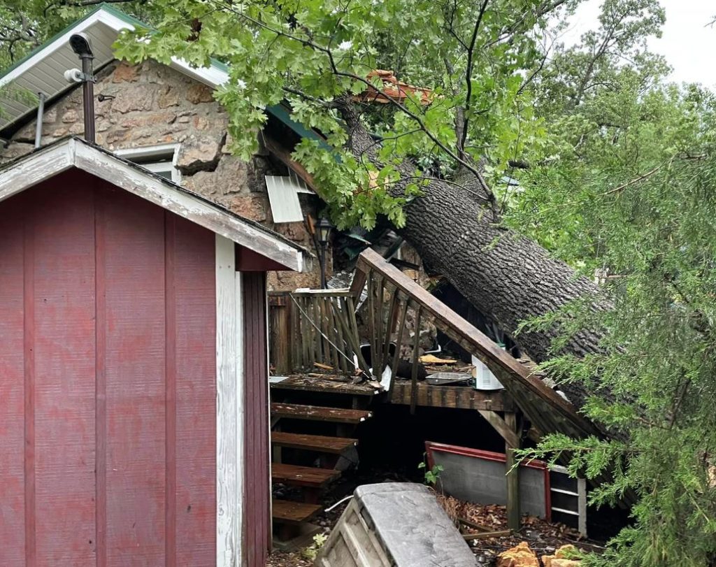 Several Trees and Power Lines Downed by Strong Storms in the Lake Area