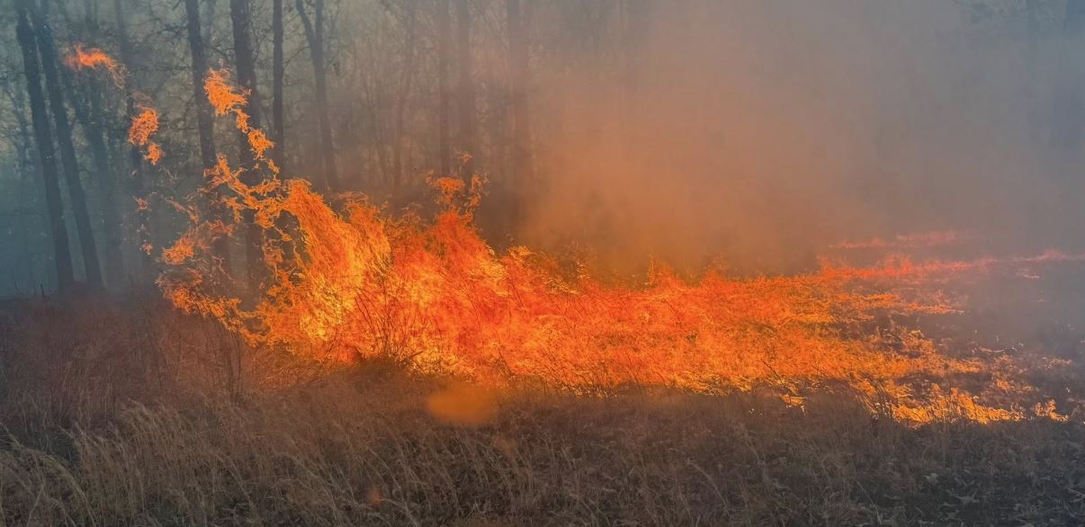 Cause of Natural Cover Fire Near Edwards Unknown