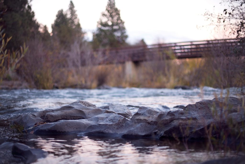 body of water near bridge during daytime