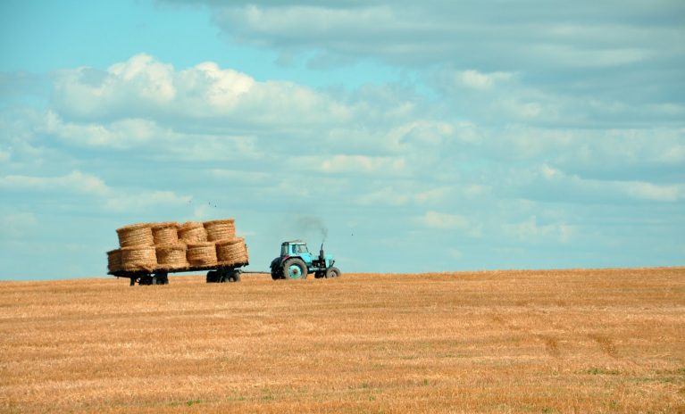 Farm Income Falls In 2024 Below USDA Project Forecast